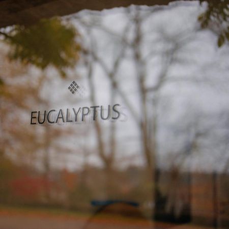 Chambres D'Hotes Eucalyptus Et Glycine Genval Εξωτερικό φωτογραφία